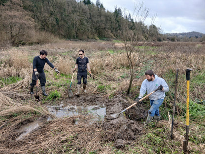 Wetland restoration by the square meter