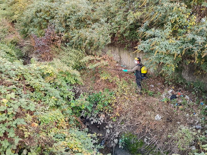 Wetland restoration by the square meter