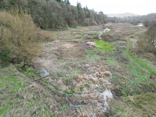 Wetland restoration by the square meter