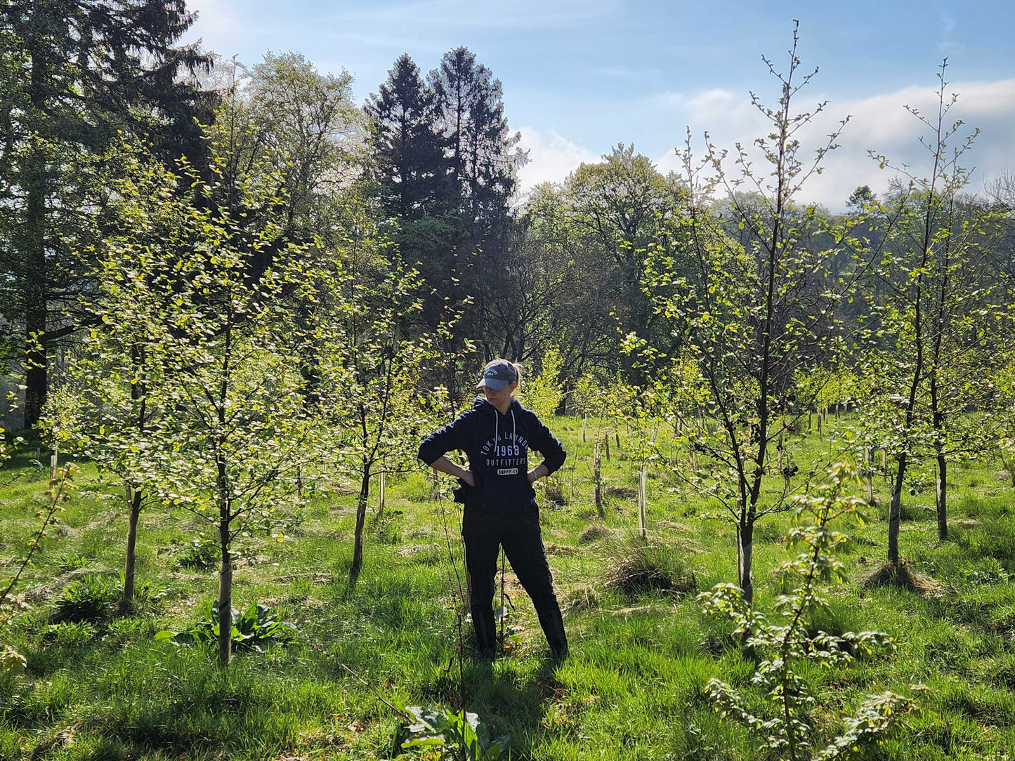 Plant 25 Trees in the UK