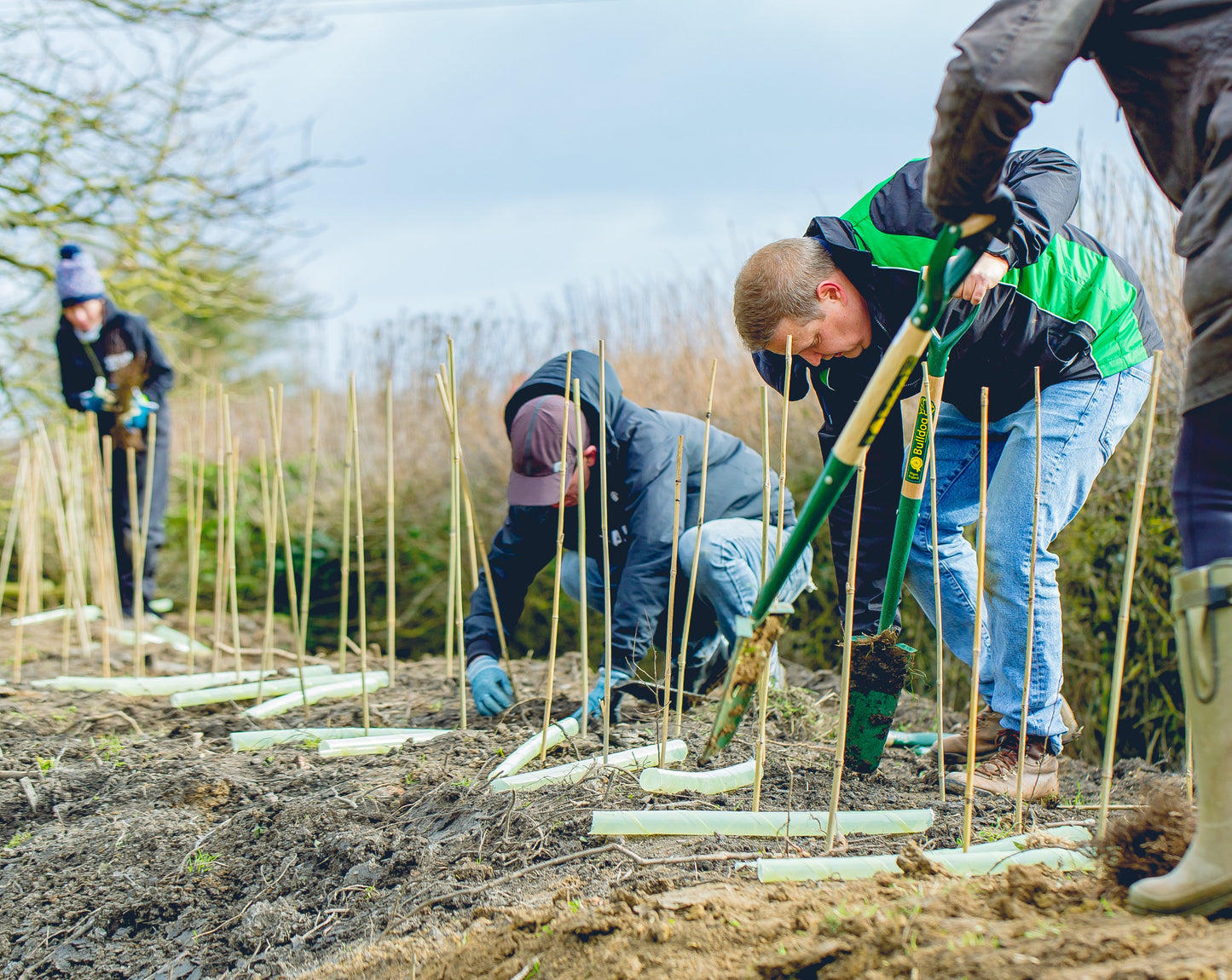 Plant One Metre of Hedgerow